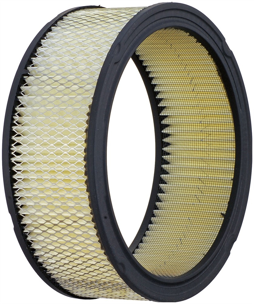 ACDelco GM Original Equipment Air Cleaner Element