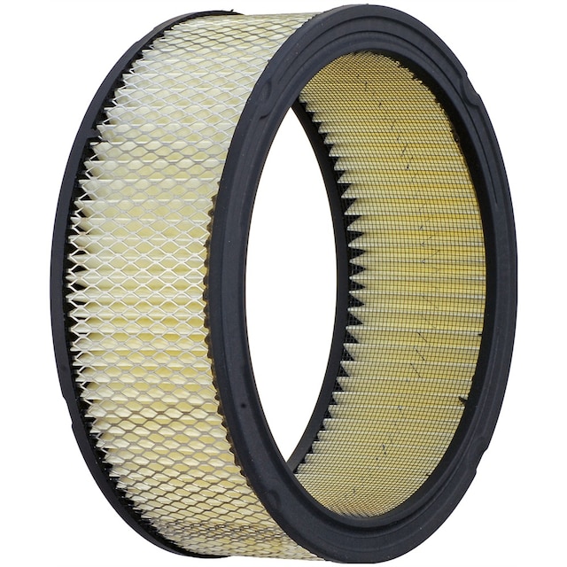 ACDelco GM Original Equipment Air Cleaner Element