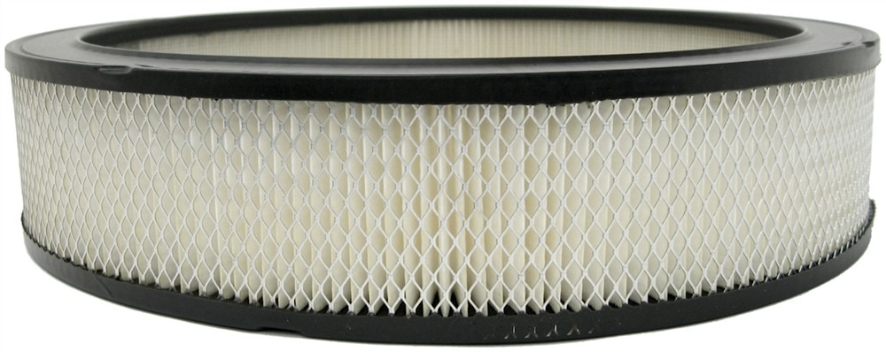 ACDelco GM Original Equipment Air Cleaner Element