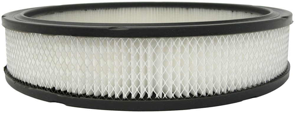 ACDelco GM Original Equipment Air Cleaner Element
