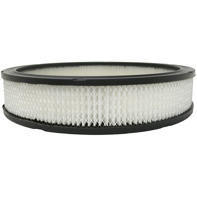 ACDelco GM Original Equipment Air Cleaner Element