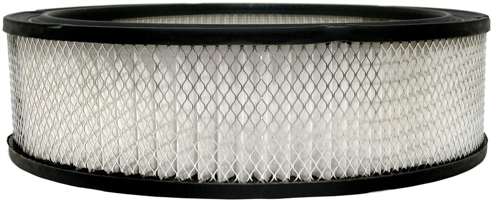 ACDelco GM Original Equipment Air Cleaner Element