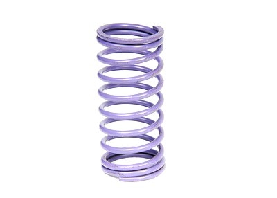 GM Genuine Parts Pressure Regulator Valve Spring