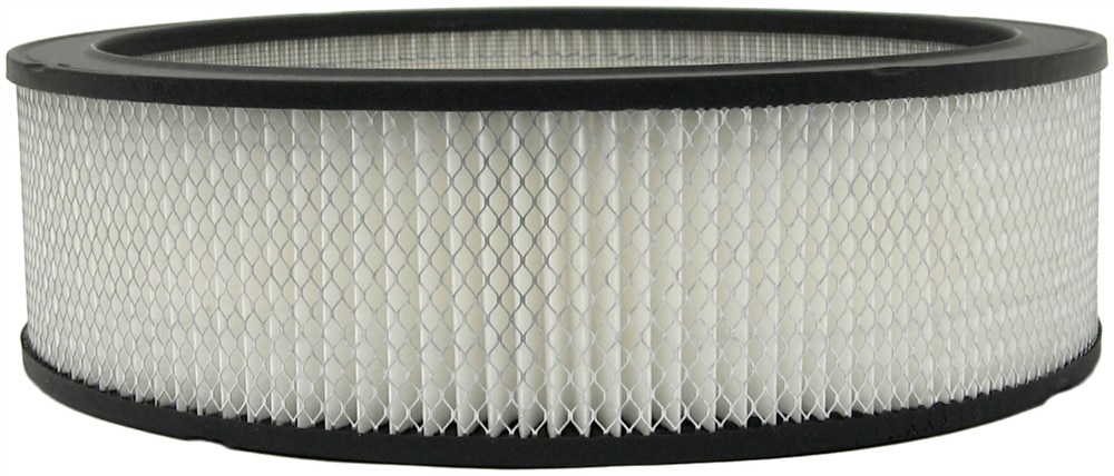 ACDelco GM Original Equipment Air Cleaner Element