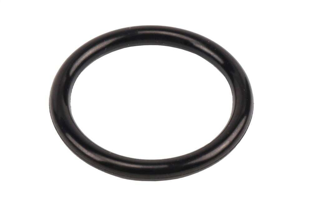 GM Genuine Parts Intake Manifold Seal