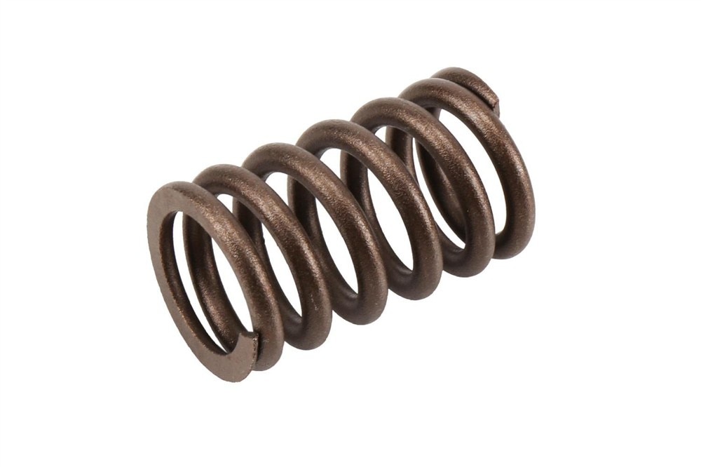 GM Genuine Parts Valve Spring