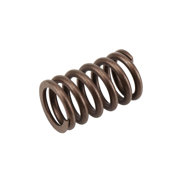 GM Genuine Parts Valve Spring