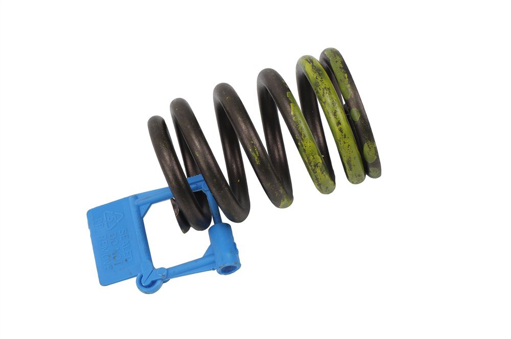 GM Genuine Parts Valve Spring