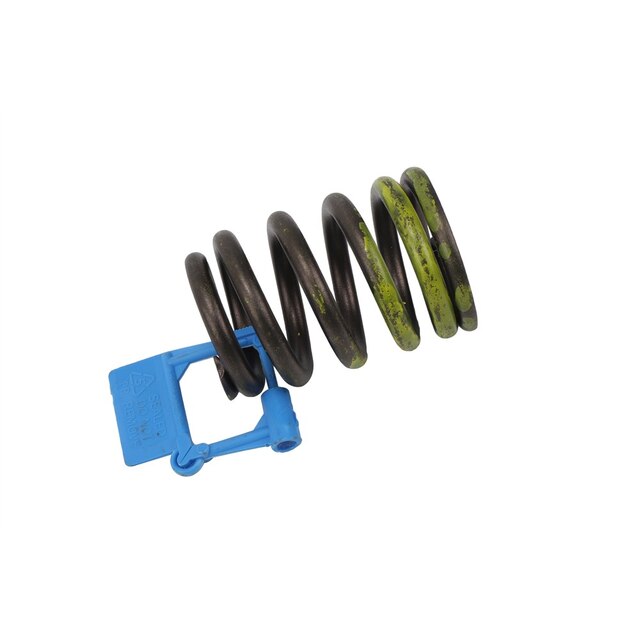 GM Genuine Parts Valve Spring