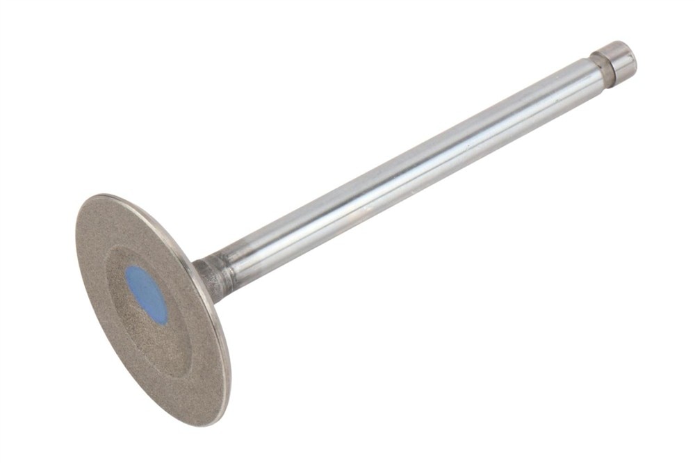 GM Genuine Parts Intake Valve