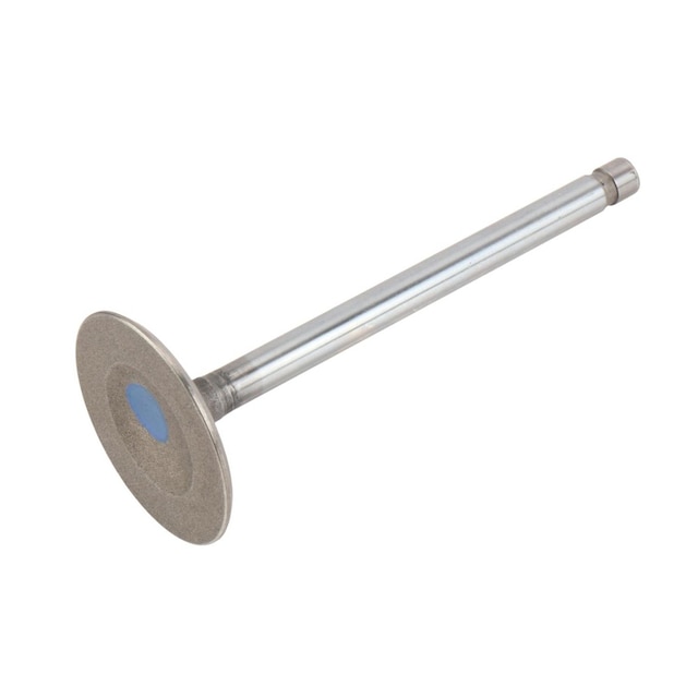 GM Genuine Parts Intake Valve