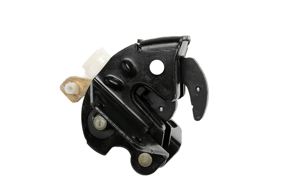 GM Genuine Parts Rear Side Door Lower Latch
