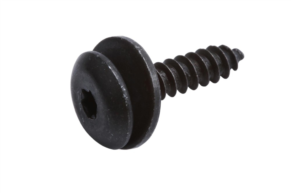 GM Genuine Parts Side Door Window Frame Applique Bolt