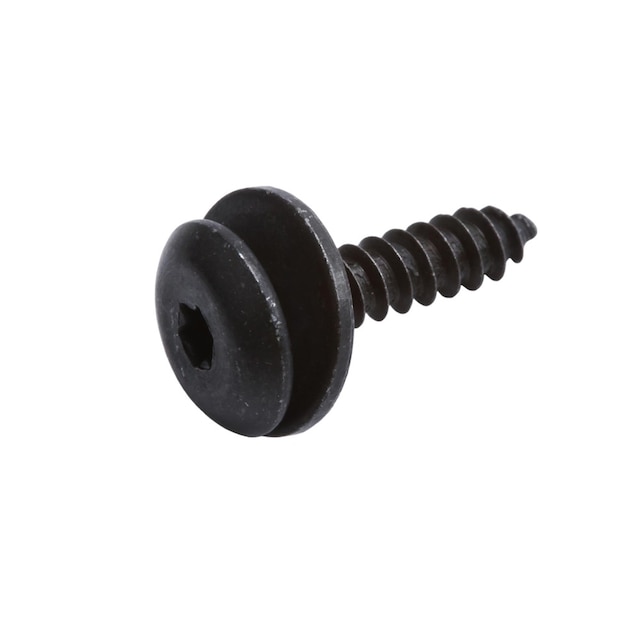 GM Genuine Parts Side Door Window Frame Applique Bolt