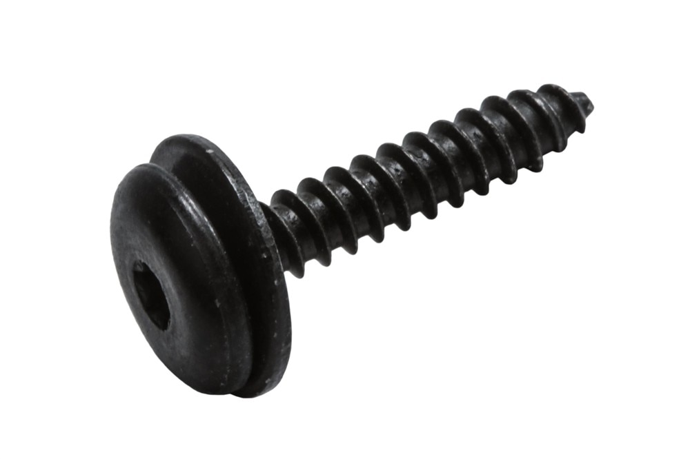 GM Genuine Parts Door Window Frame Applique Bolt