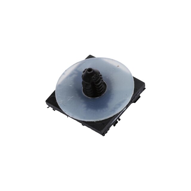 Alternate Image