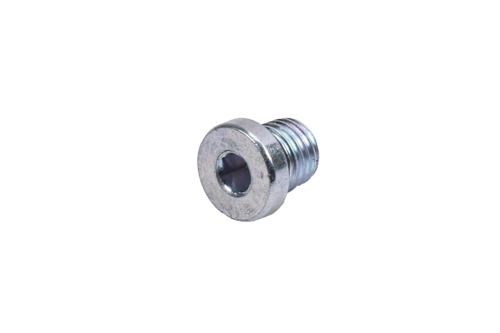 GM Genuine Parts Automatic Transmission Case Cover Plug