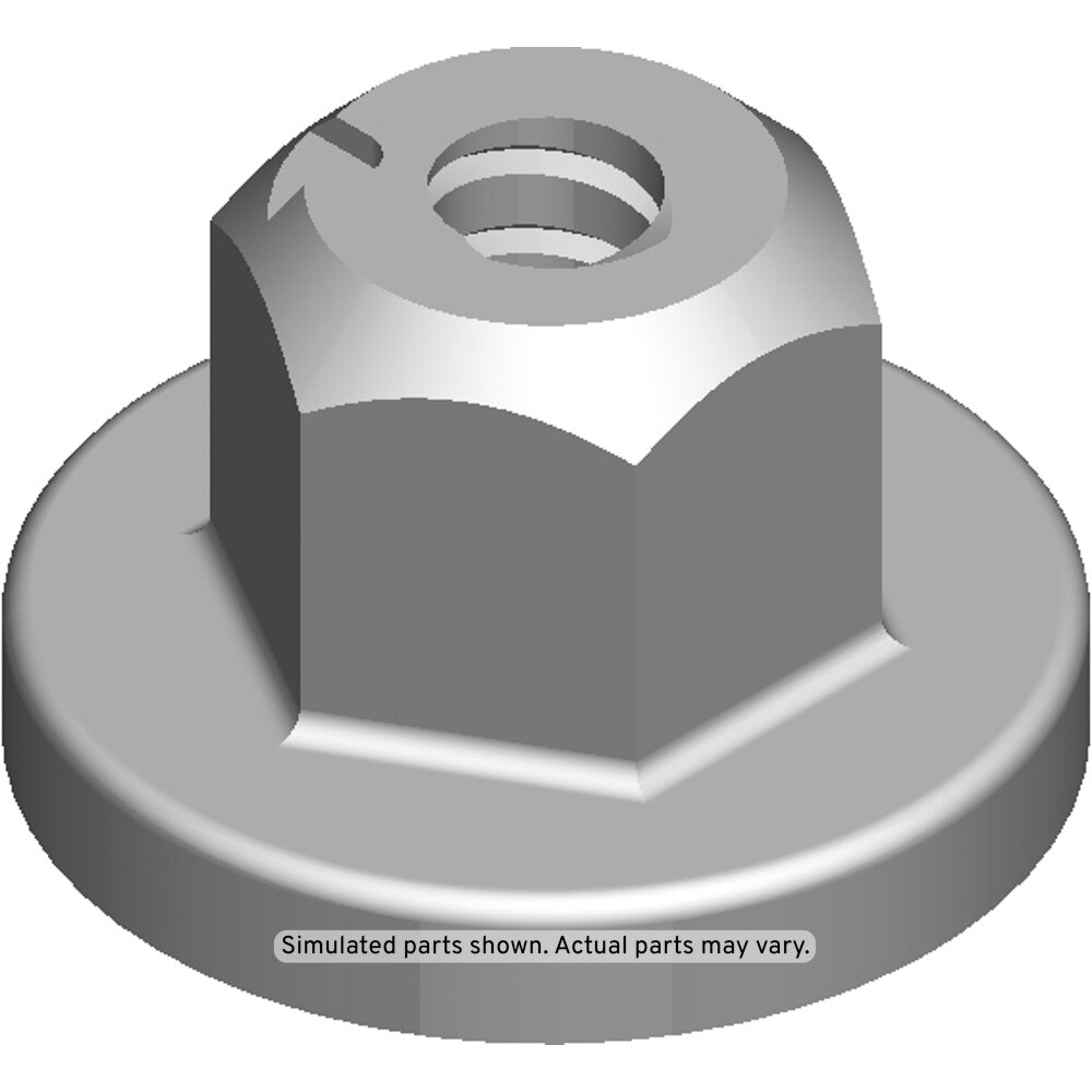 GM Genuine Parts Driver Footrest Nut