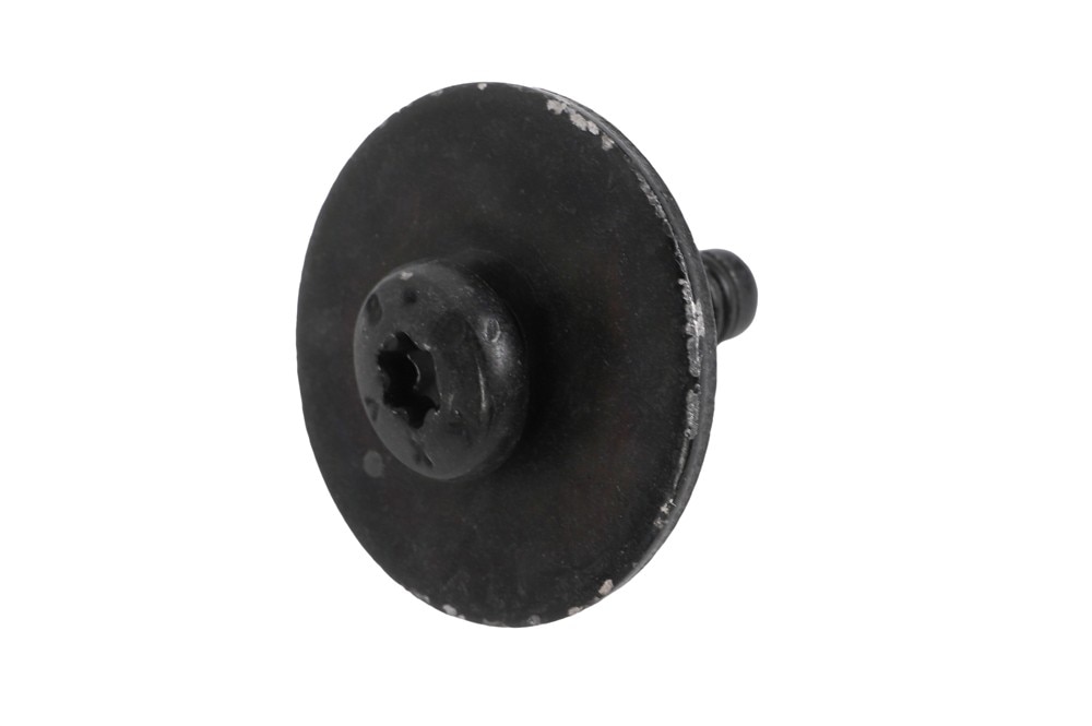 GM Genuine Parts Front Side Door Lock Cover Bolt