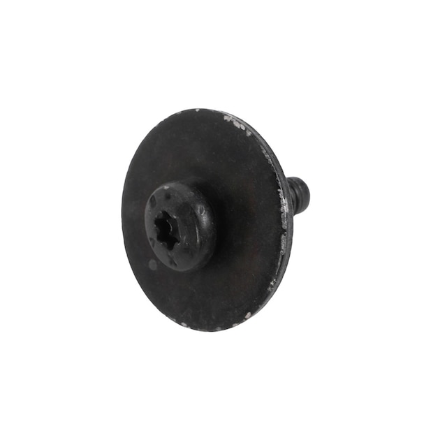 GM Genuine Parts Front Side Door Lock Cover Bolt