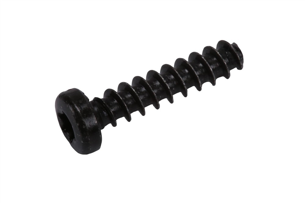 GM Genuine Parts Door Mirror Bolt