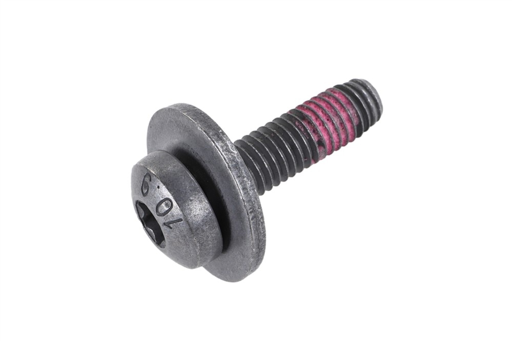 GM Genuine Parts Evaporative Emission Canister Bolt