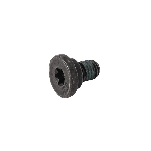 GM Genuine Parts Plenum Panel Bolt