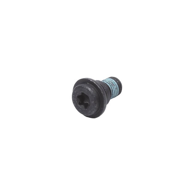 GM Genuine Parts Front Seat Belt Guide Bolt