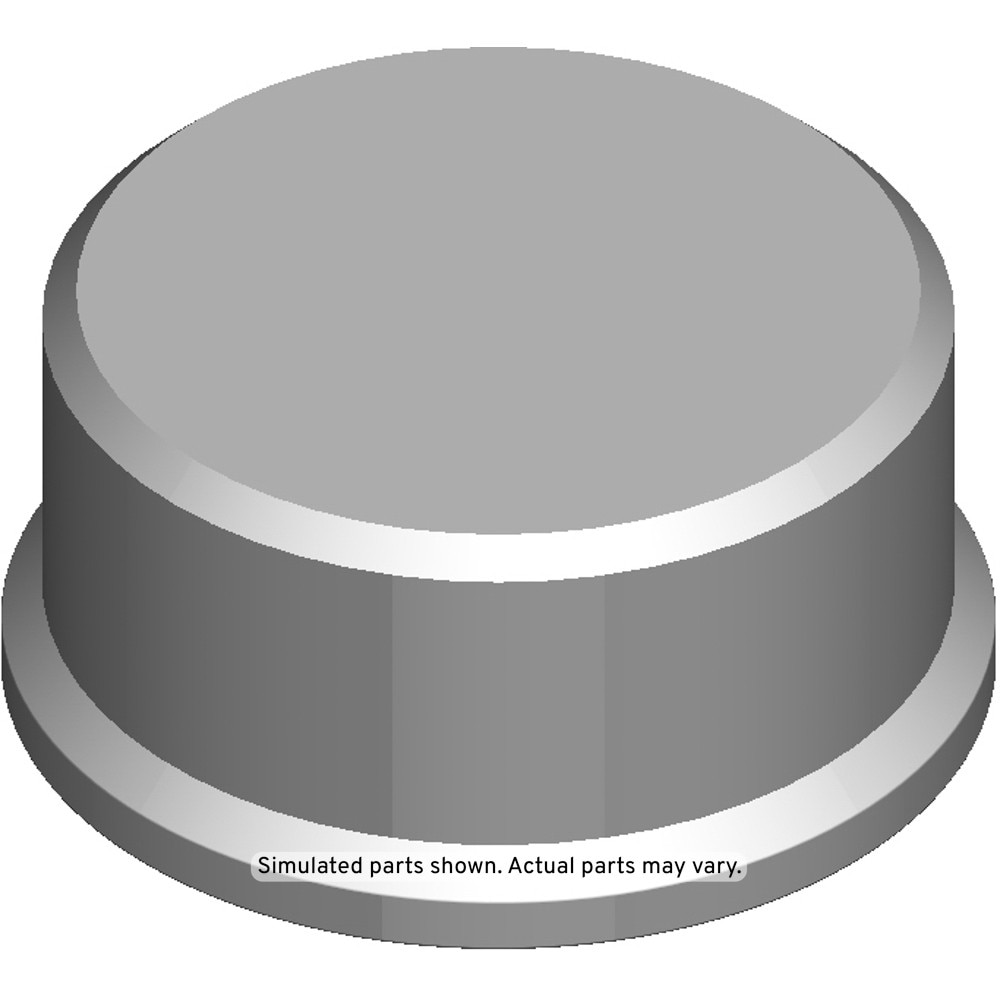GM Genuine Parts Flywheel Housing Plug