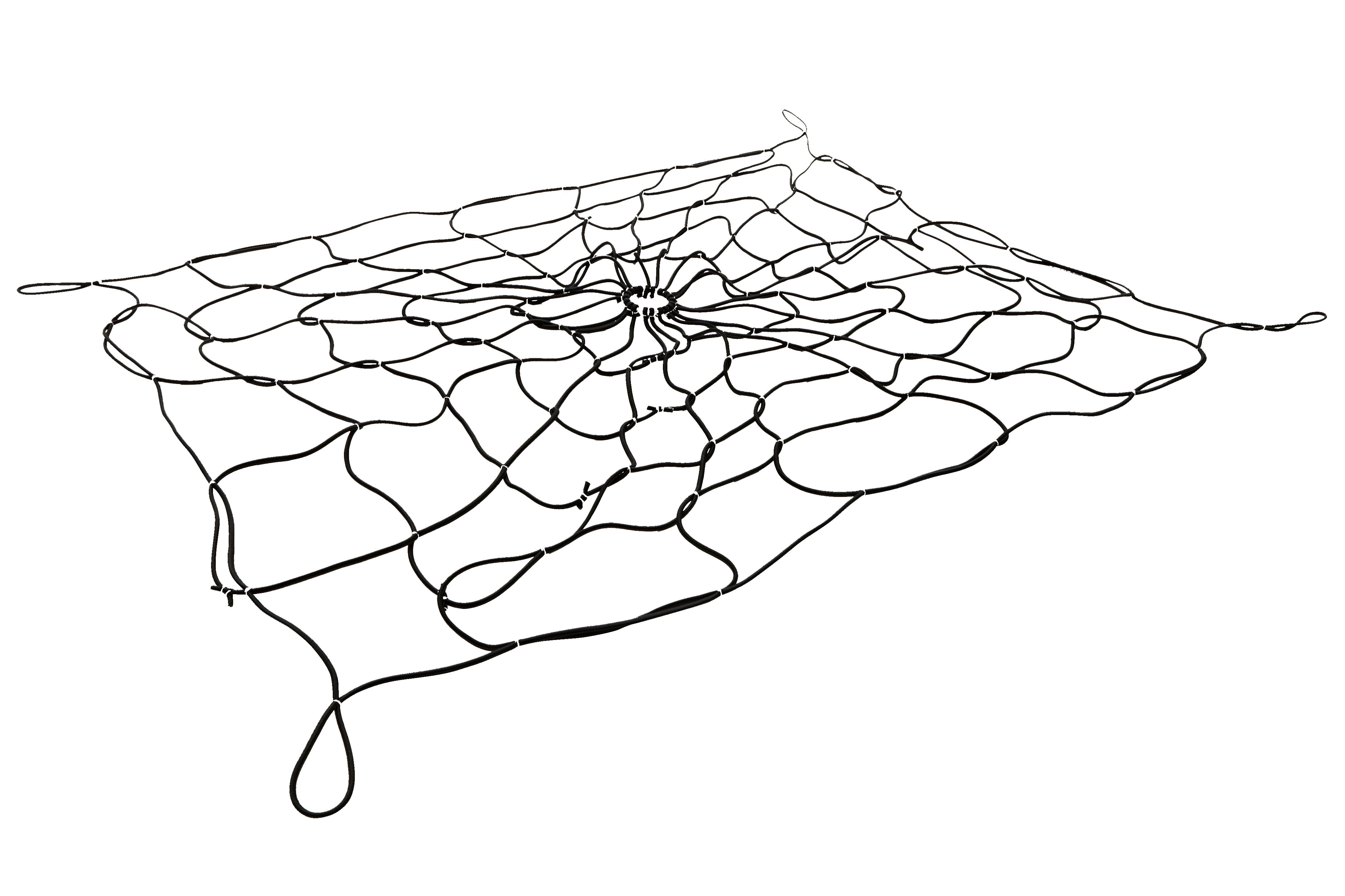 Alternate Image