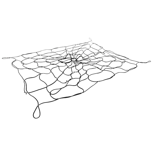 Alternate Image