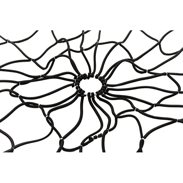 Alternate Image
