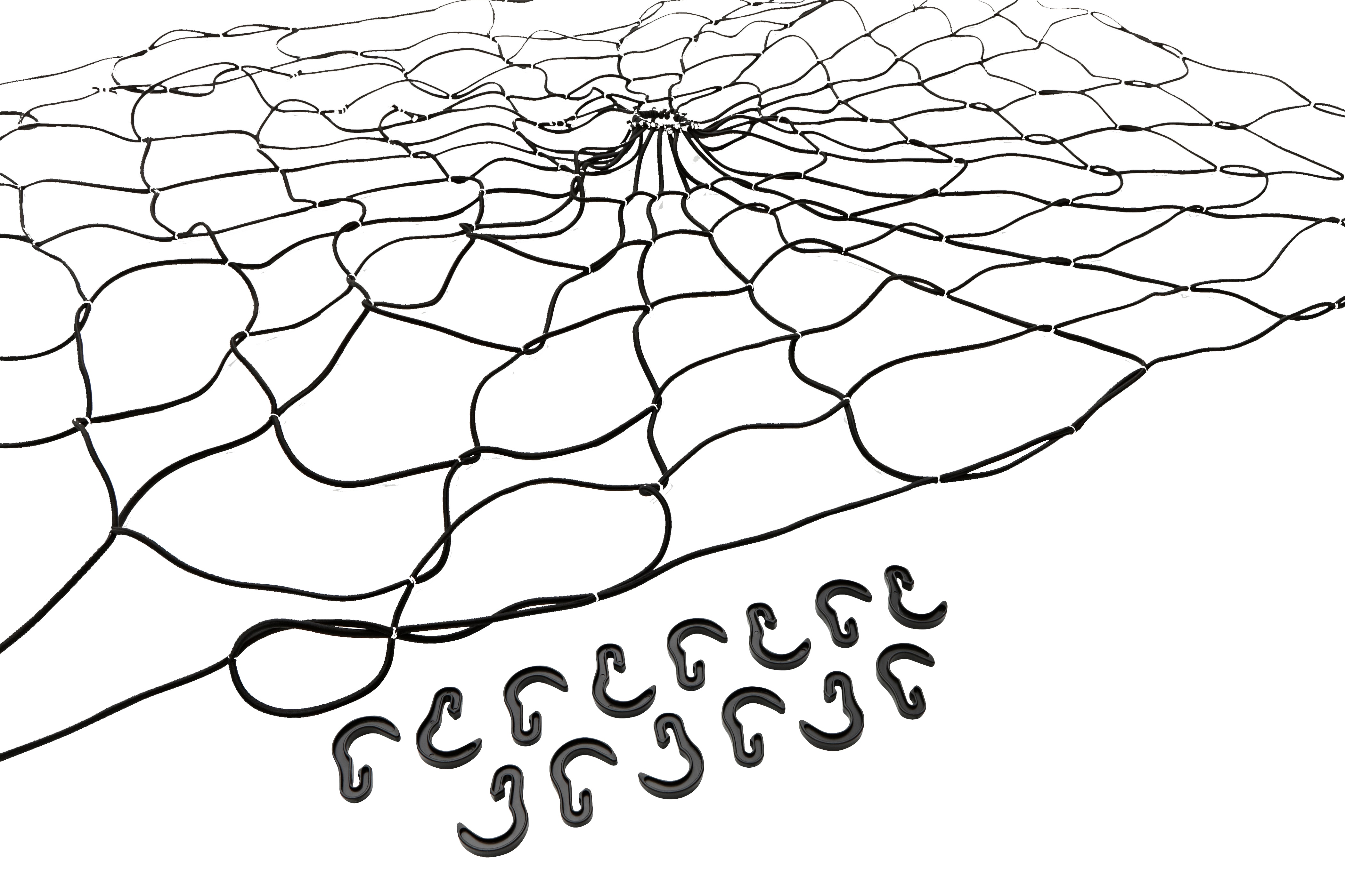 Alternate Image