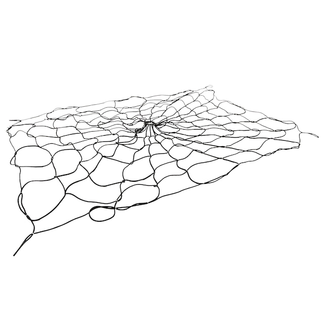 Alternate Image