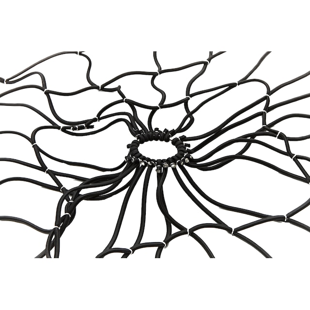 Alternate Image