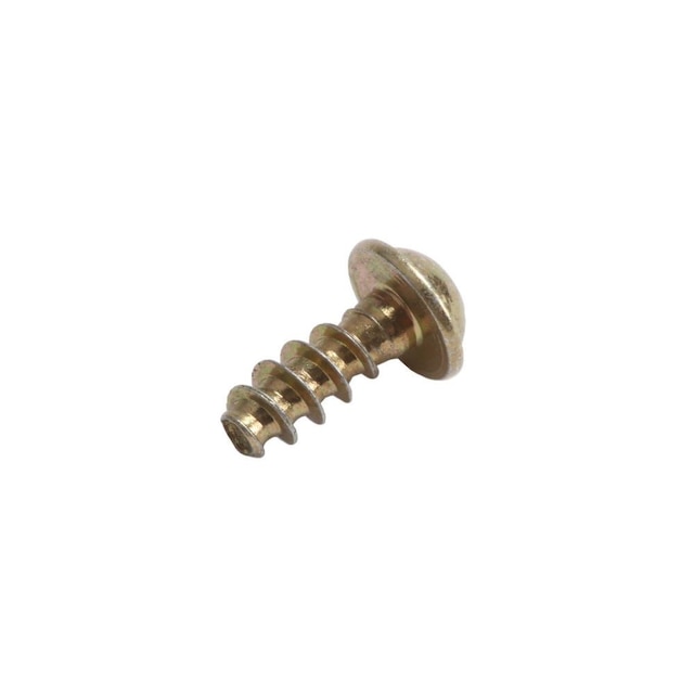 GM Genuine Parts Roof Console Bolt