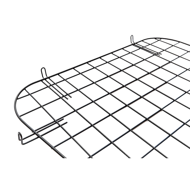 Alternate Image