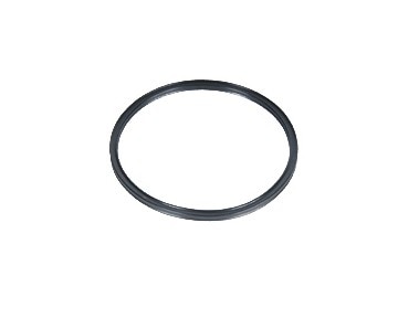 GM Genuine Parts Fuel Heater Mounting Seal