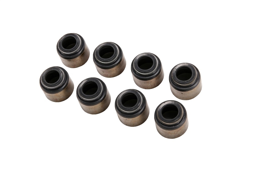 GM Genuine Parts Intake Valve Stem Oil Seal Kit