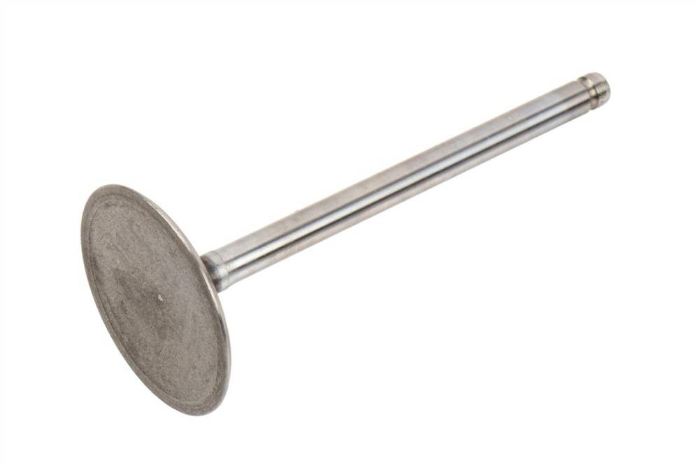 GM Genuine Parts Engine Intake Valve