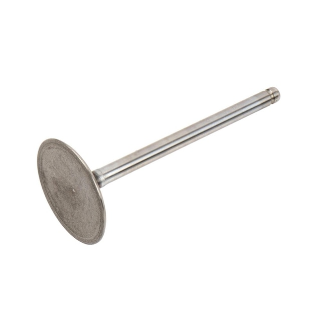 GM Genuine Parts Engine Intake Valve