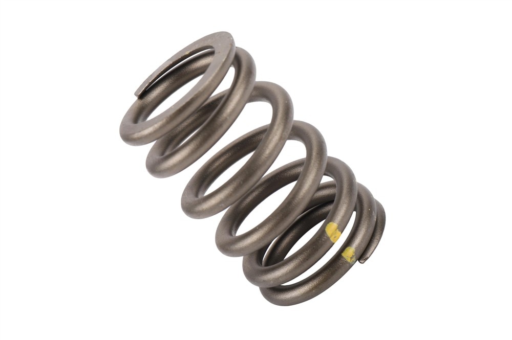 GM Genuine Parts Engine Valve Spring