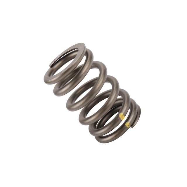 GM Genuine Parts Engine Valve Spring