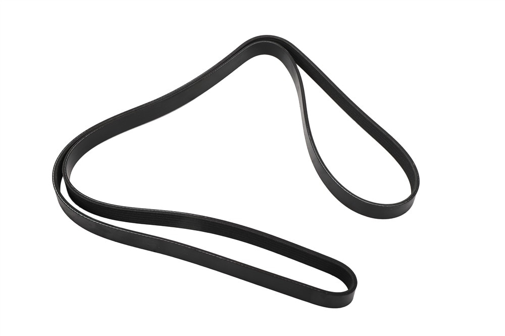 Alternate Image