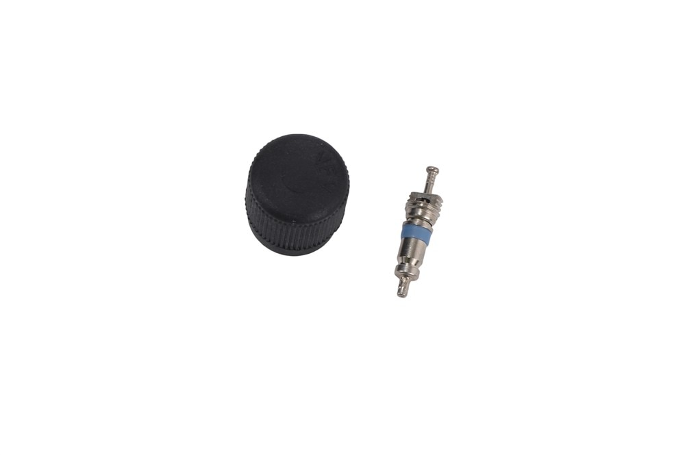 GM Genuine Parts Fuel Injection Fuel Pressure Service Kit with Valve and Cap