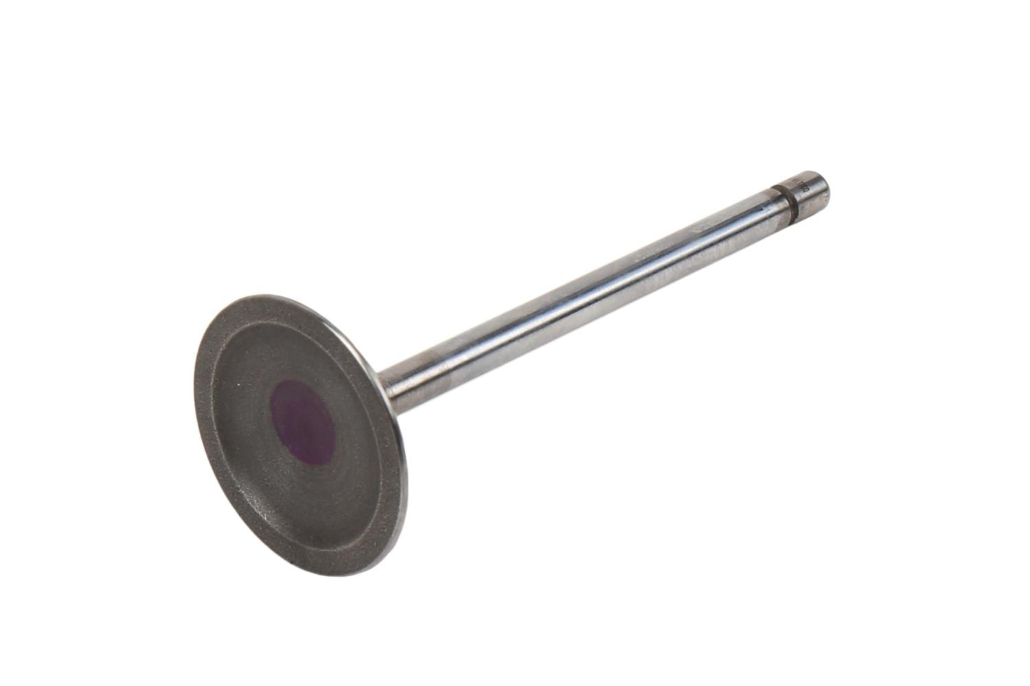 GM Genuine Parts Engine Intake Valve
