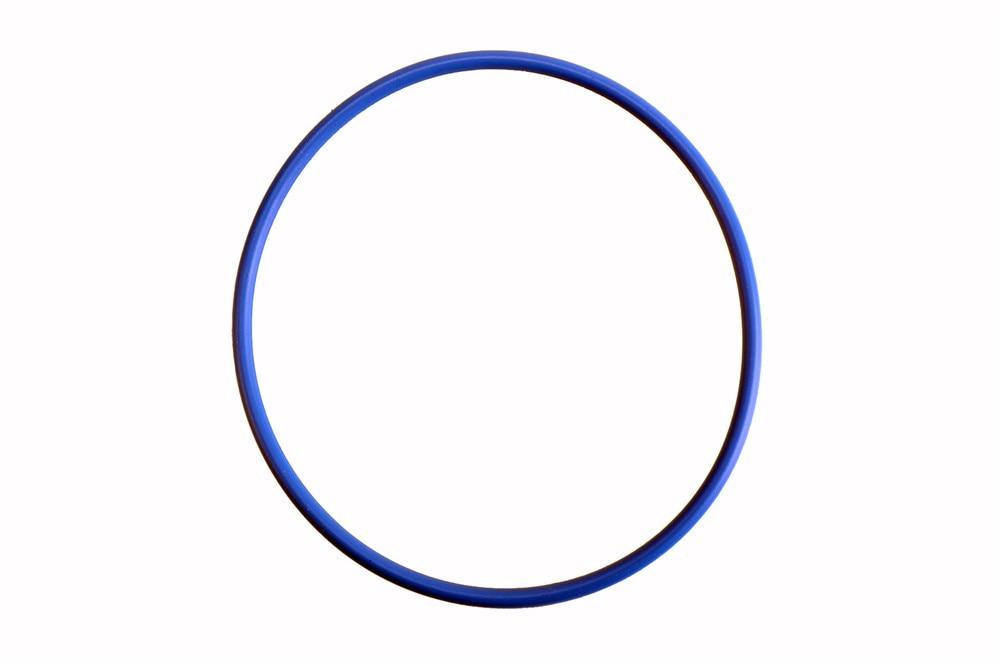 GM Genuine Parts Engine Oil Filter Housing Seal (O-Ring)