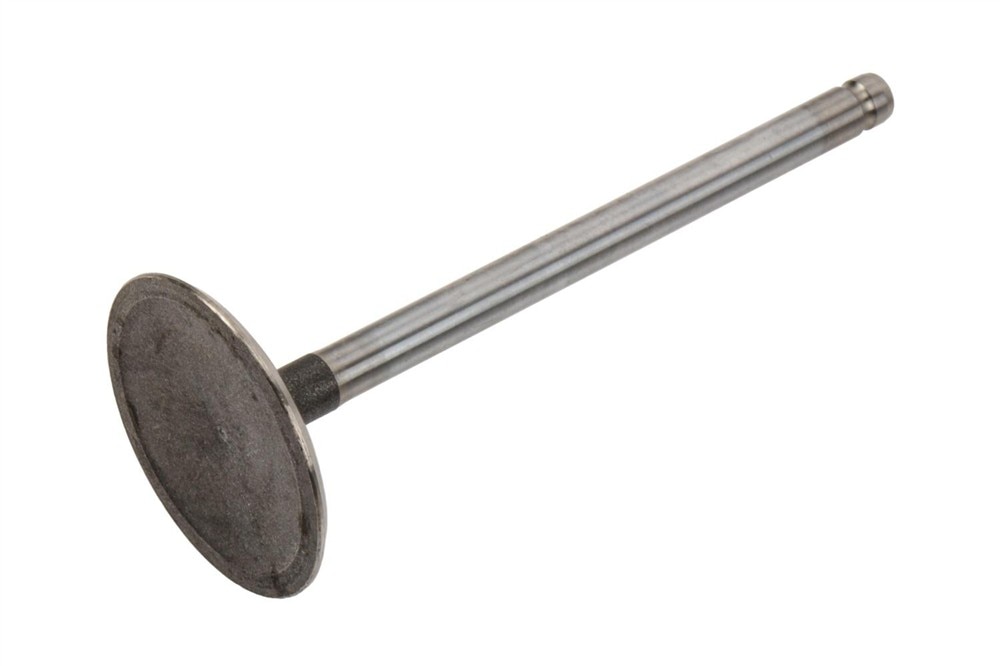GM Genuine Parts Engine Intake Valve