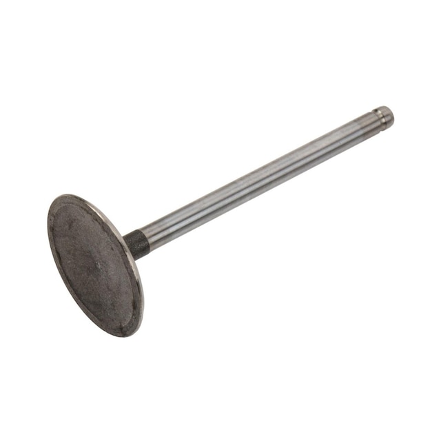 GM Genuine Parts Engine Intake Valve