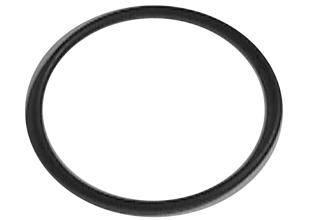 GM Genuine Parts Engine Coolant Thermostat Seal